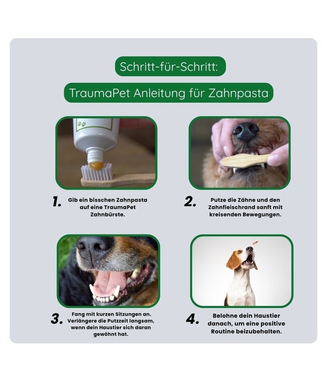 TraumaPet - Zahnpasta (75ml)