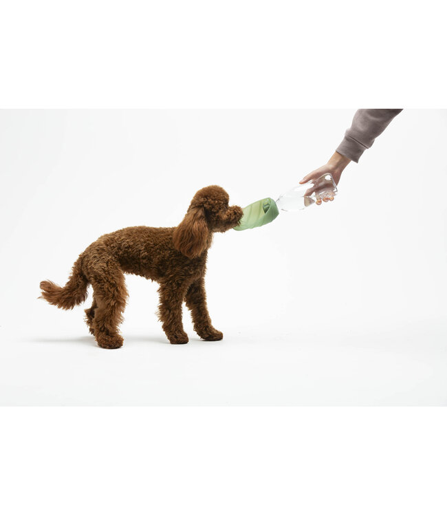 United Pets - Trinkflasche für Hunde Leaf