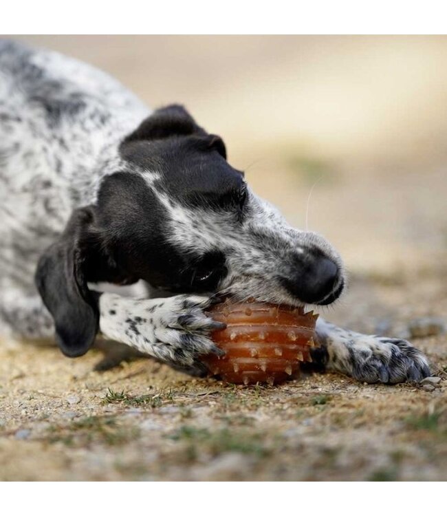 Pocurull - Hundespielzeug Rub Spike Ball