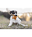 Pocurull - Hundespielzeug Rub Free Jump