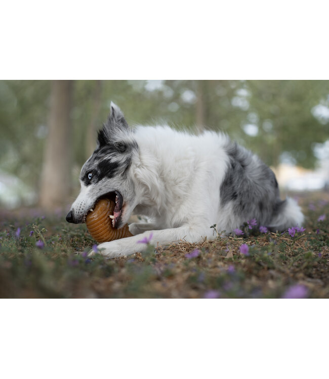 Pocurull - Hundespielzeug Rub Bouncy