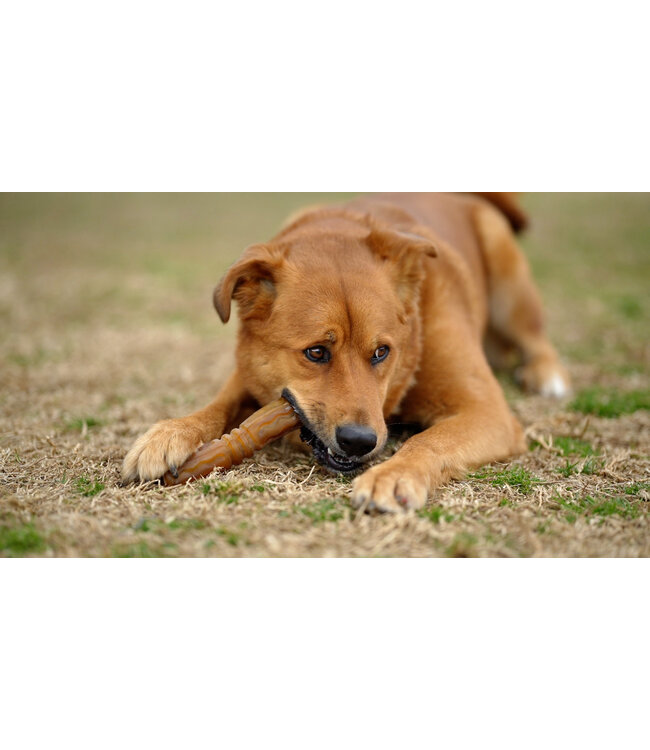 Pocurull - Hundespielzeug Rub Flosser