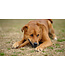 Pocurull - Hundespielzeug Rub Flosser