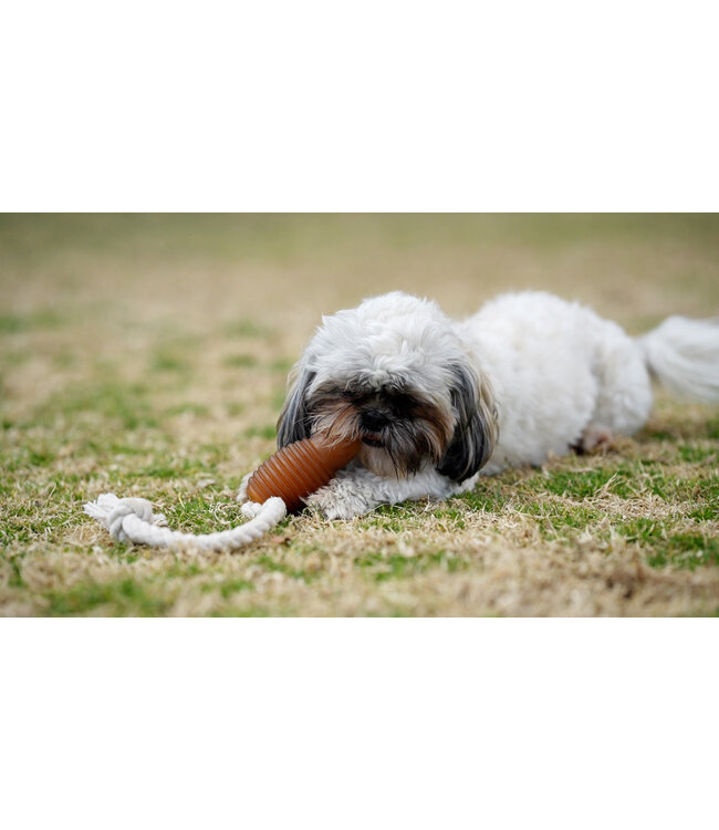Pocurull - Hundespielzeug Rub Bouncy & Rope