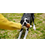 Pocurull - Rub Dentalball & Rope