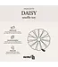 District 70 -  Hundespielzeug DAISY