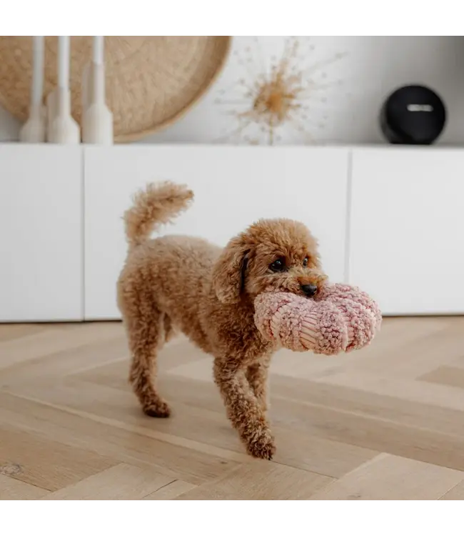District 70 -  Hundespielzeug DAISY