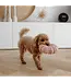 District 70 -  Hundespielzeug DAISY