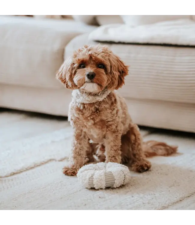 District 70 -  Hundespielzeug DAISY