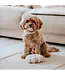 District 70 -  Hundespielzeug DAISY