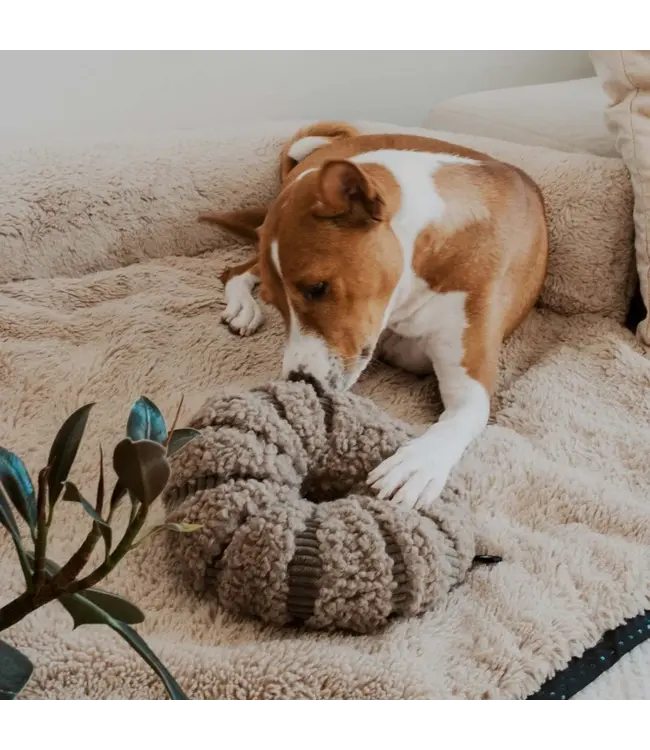 District 70 -  Hundespielzeug DAISY