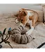 District 70 -  Hundespielzeug DAISY