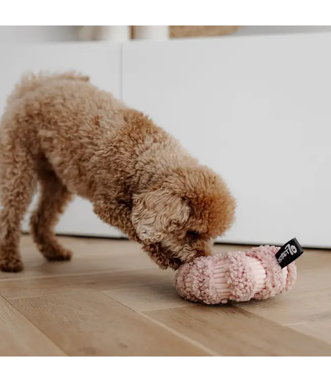District 70 -  Hundespielzeug DAISY