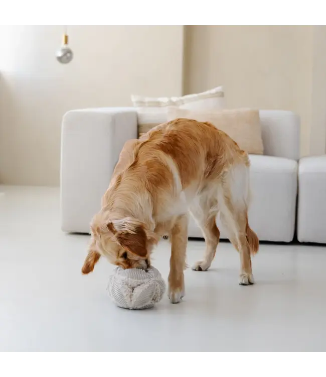 District 70 -  Hundespielzeug Bobby