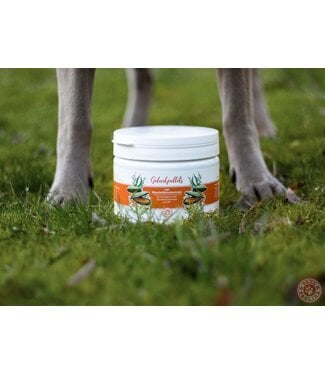 Paul & Paulina - Gelenkpellets mit OPC