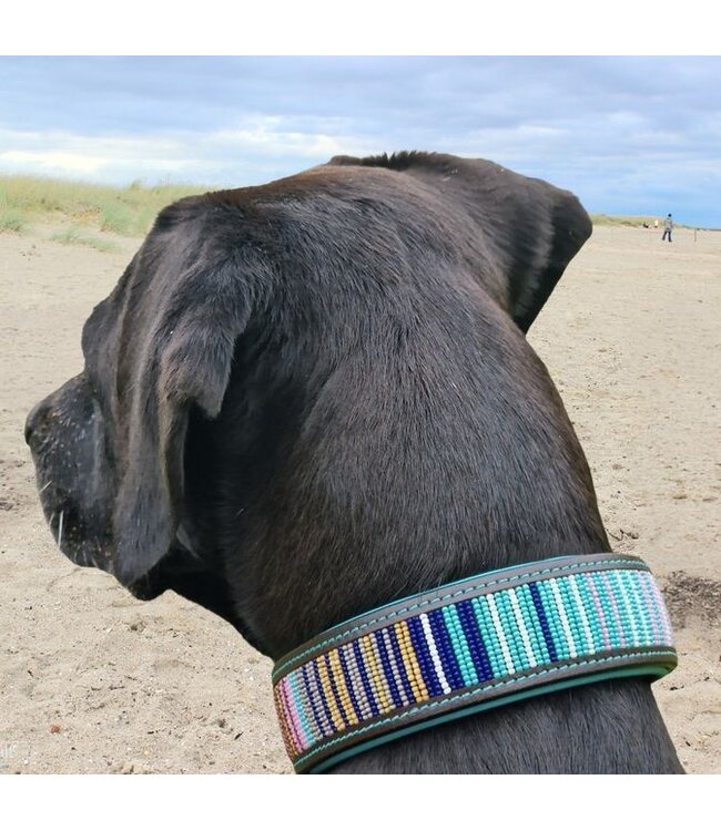 Kay-Line - Hundehalsband Mint Splash