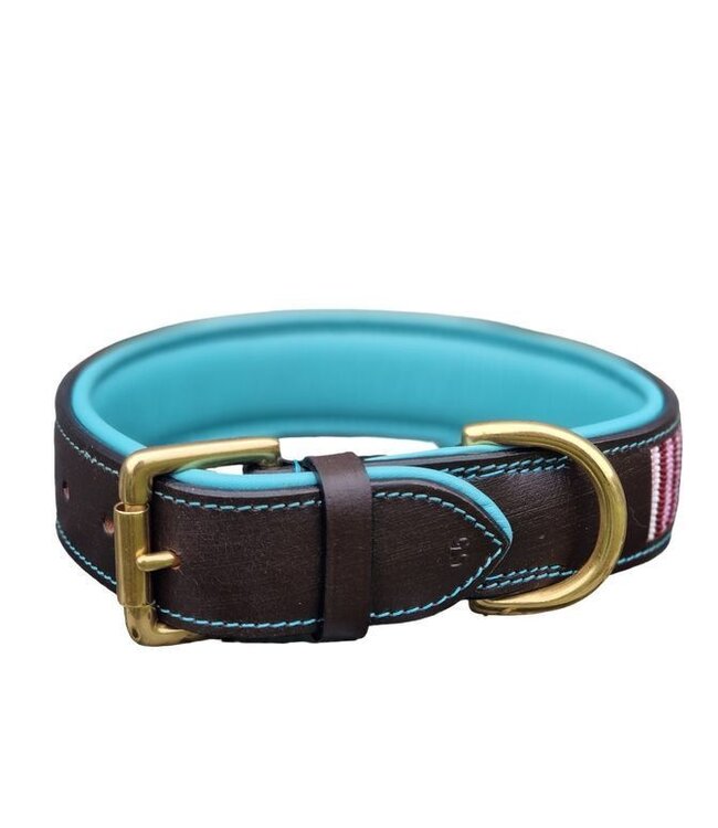 Kay-Line - Hundehalsband Mint Splash