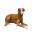 Sofa Dog Wear Hundemantel Kevin Jumper Vol. 2