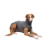 Sofa Dog Wear Hundemantel Kevin Jumper Vol. 2