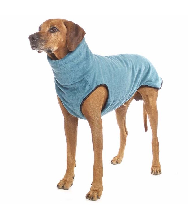 Sofa Dog Wear Hachico CITYPUNK COLORS