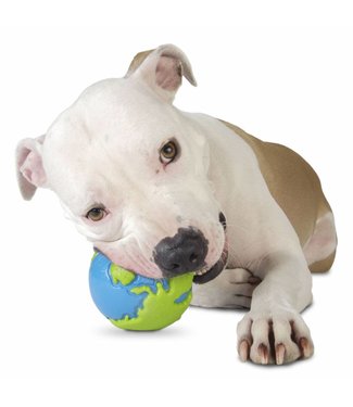 Planet Dog - Orbee-Tuff Orbee Ball blau/grün