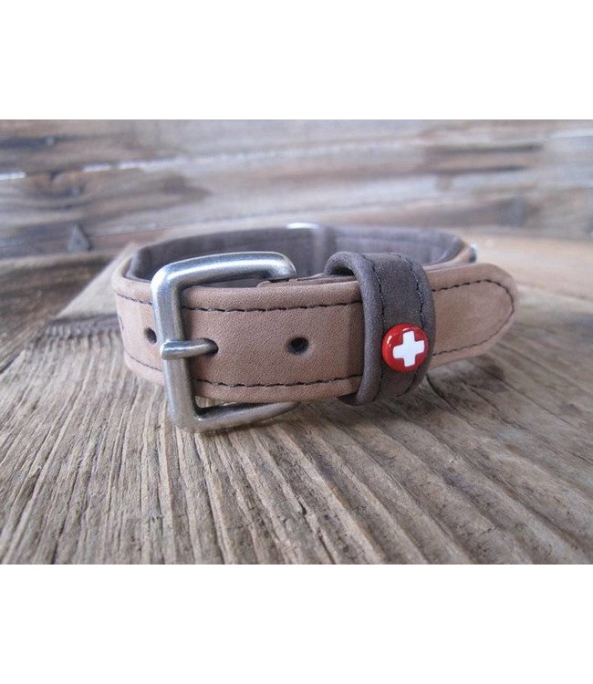 Lueti Pilatus Hundehalsband Sand-Braun Pur