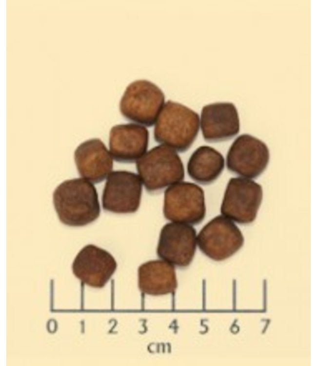 Wolfsblut - Trockenfutter  Wild Duck mit Entenfleisch