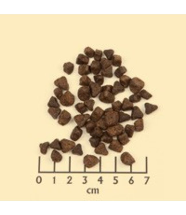 Wolfsblut - Wide Plain SMALL BREED mit Pferdefleisch und Süßkartoffeln