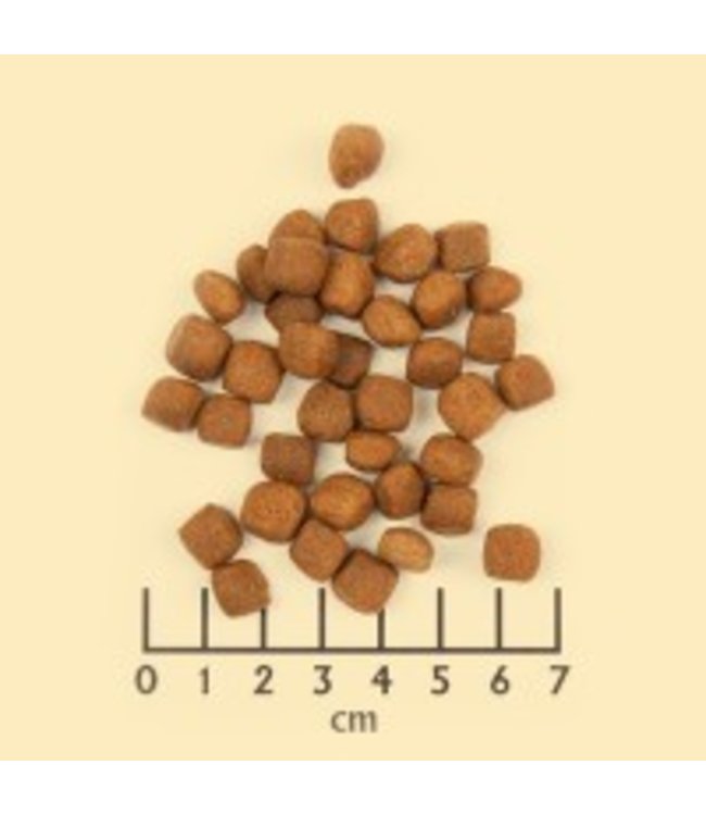 Wolfsblut - Wolfsblut Wild Duck SMALL BREED mit Entenfleisch