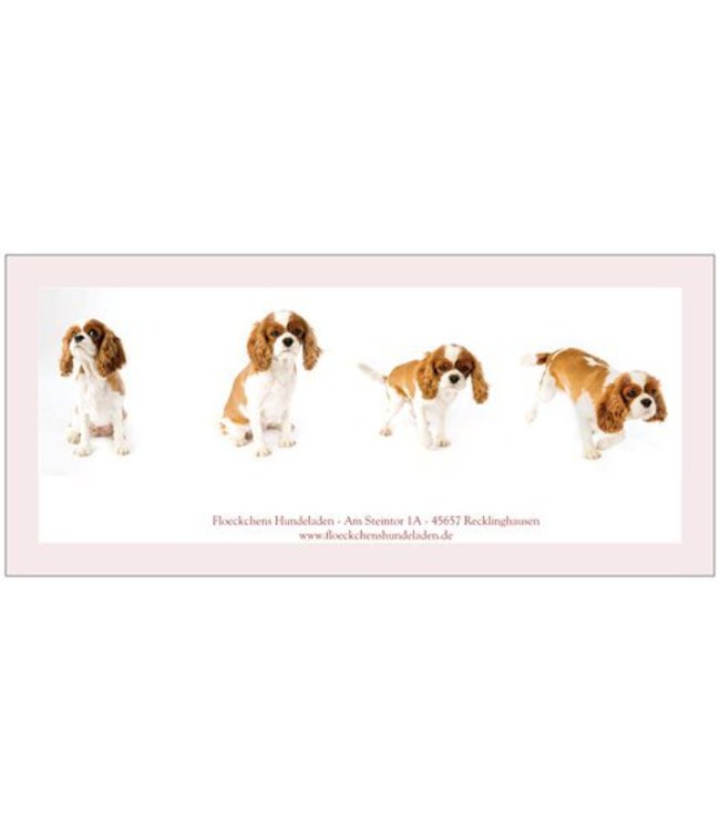 Gutscheine - tolle Überraschung