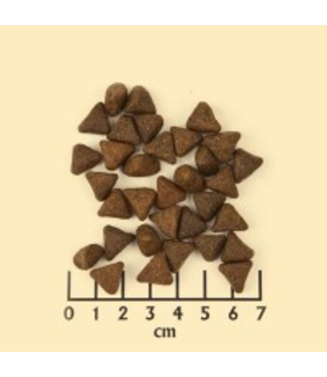 Wolfsblut - Hunters Pride mit Fasan und Ente