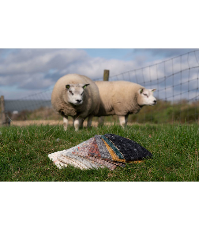 Barefoot Wollen Vloerkleed | New Zeeland | 160 x 230 | Beige (Op Maat - Nederlands Product)