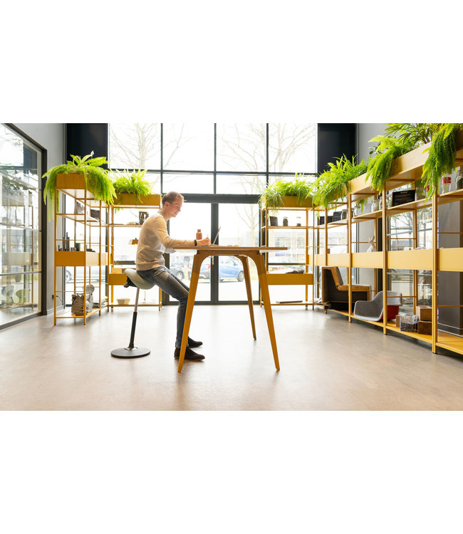 Beta Stoelen Solid -  Ergonomische Zadelkruk - Antraciet