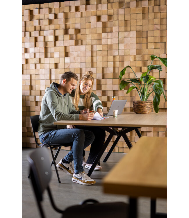 VEPA VPAX - vergadertafel - 200x100 - 110cm hoogte - Eiken Natuur - Wit Frame (Nederlands Product - BUUR Collectie)