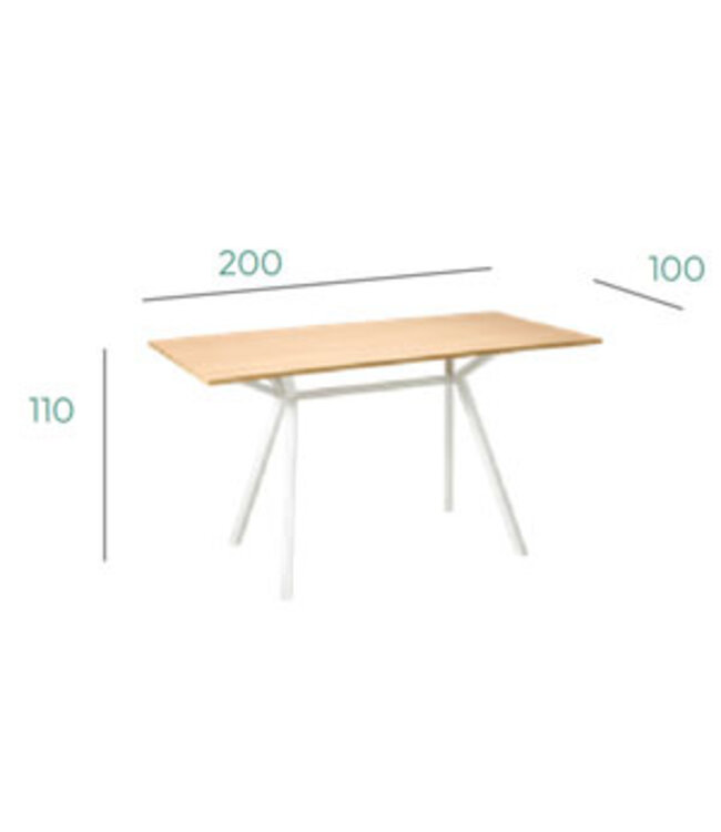 VEPA VPAX - vergadertafel - 200x100 - 110cm hoogte - Wit - Wit Frame (Nederlands Product - BUUR Collectie)