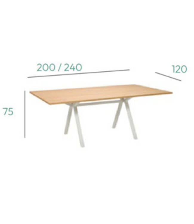 VEPA VPAX - vergadertafel - 200x120 - 75cm hoogte - Eiken Natuur - zwart Frame (Nederlands Product - BUUR Collectie)