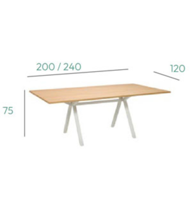 VEPA VPAX - vergadertafel - 240x120 - 75cm hoogte - Eiken Whitewash - Wit Frame (Nederlands Product - BUUR Collectie)