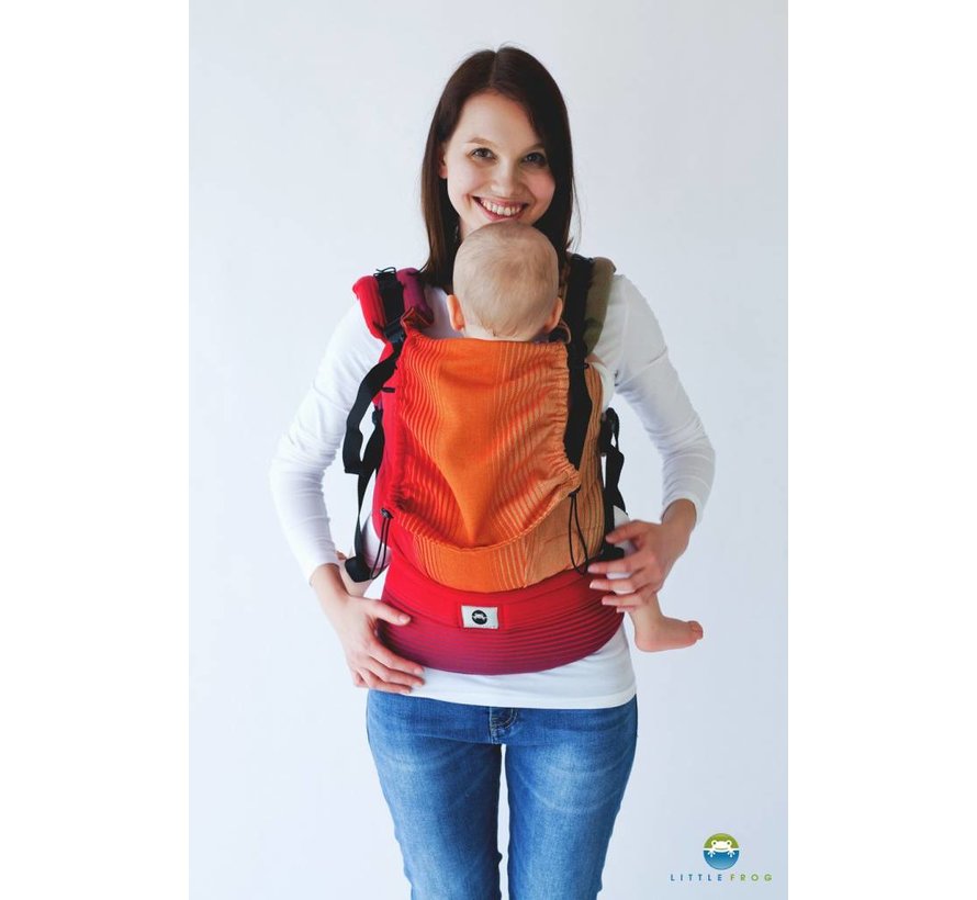 little frog ergonomic carrier