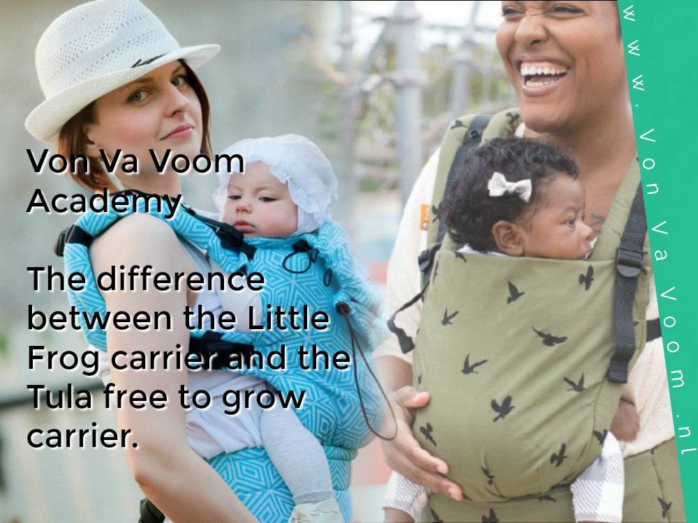 little frog carrier review