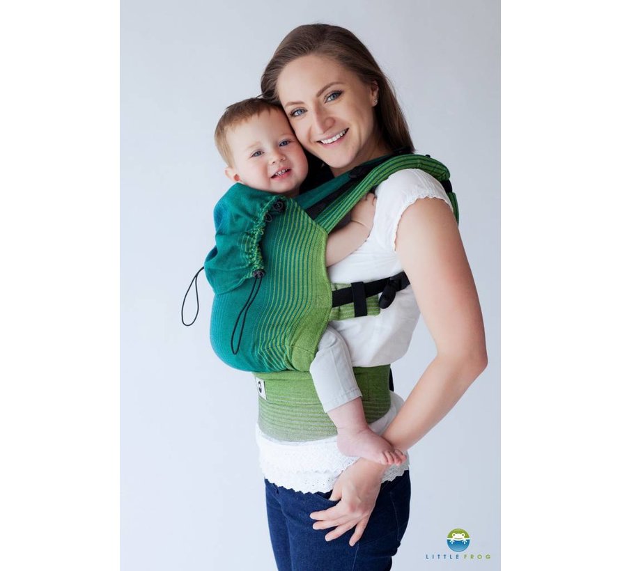 little frog baby carrier