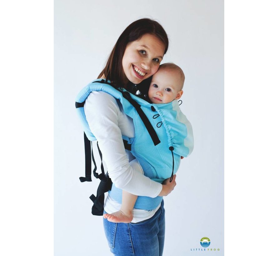 little frog baby carrier