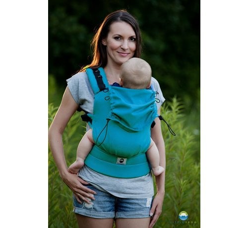 little baby carrier