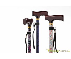 Premium walking stick Fantasy