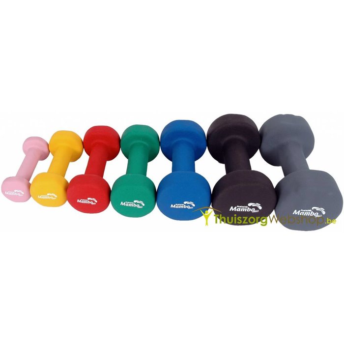 Practice weights - 7 different weights available (always per 2)