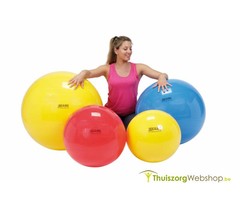 Ballon d'exercice Gymnic Classique