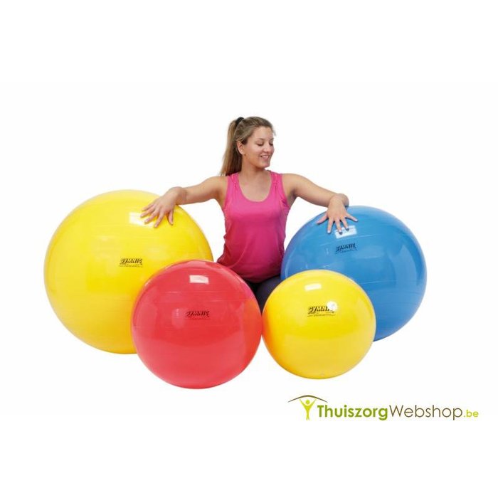Ballon d'exercice Gymnic Classic Plus - Disponible en 3 modèles