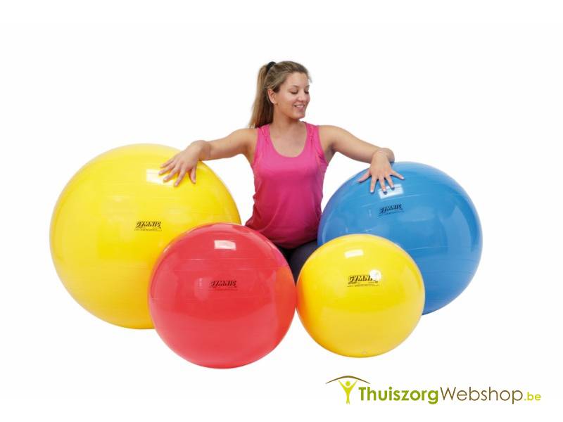 Oefenbal Gymnic Classic Plus - Verkrijgbaar in 3 modellen