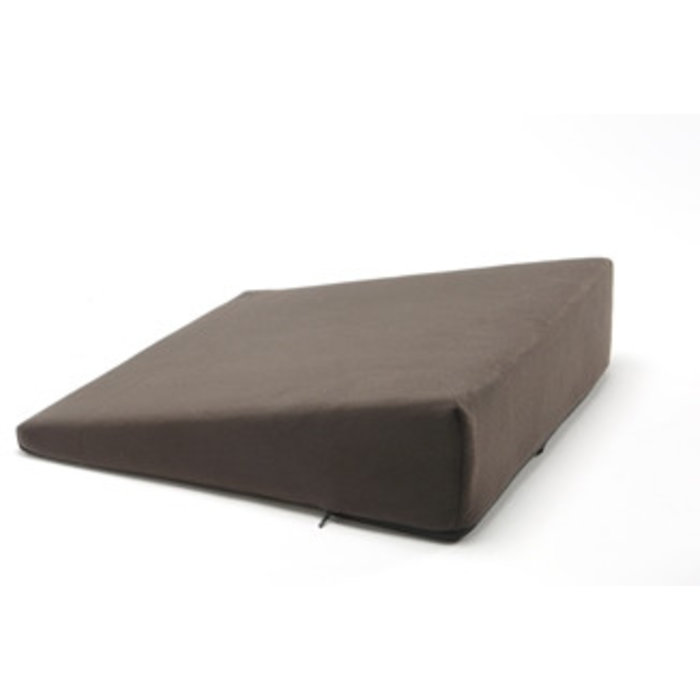 Wedge cushion for good back posture