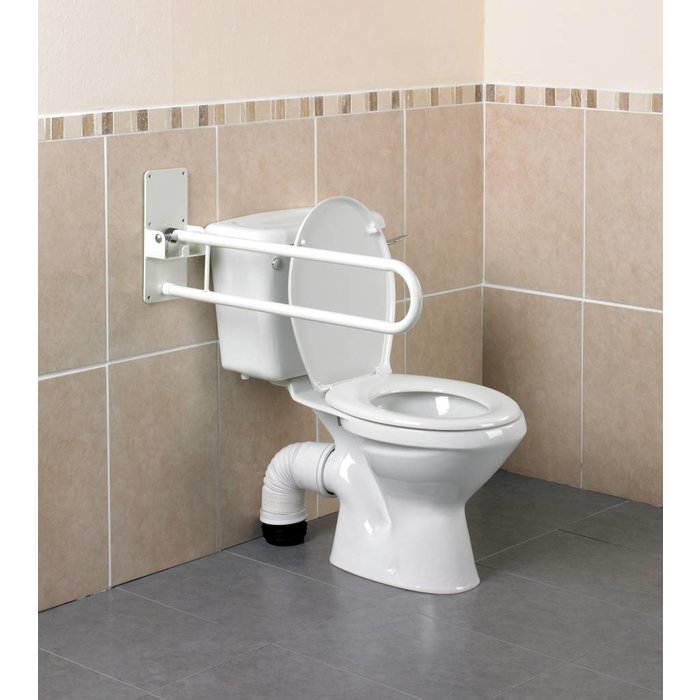 Folding toilet support rail