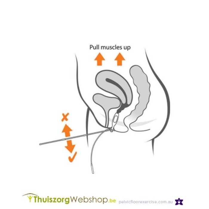 Periform®+ No Intra vaginal probe